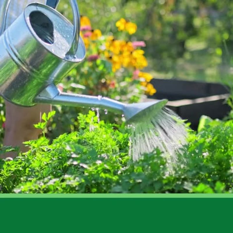 The Simple Grounding Habit Texas Gardeners Practice