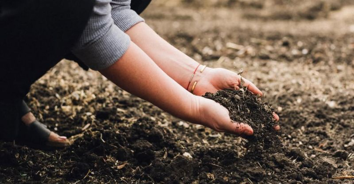 The Simple Grounding Habit Texas Gardeners Practice Every Morning