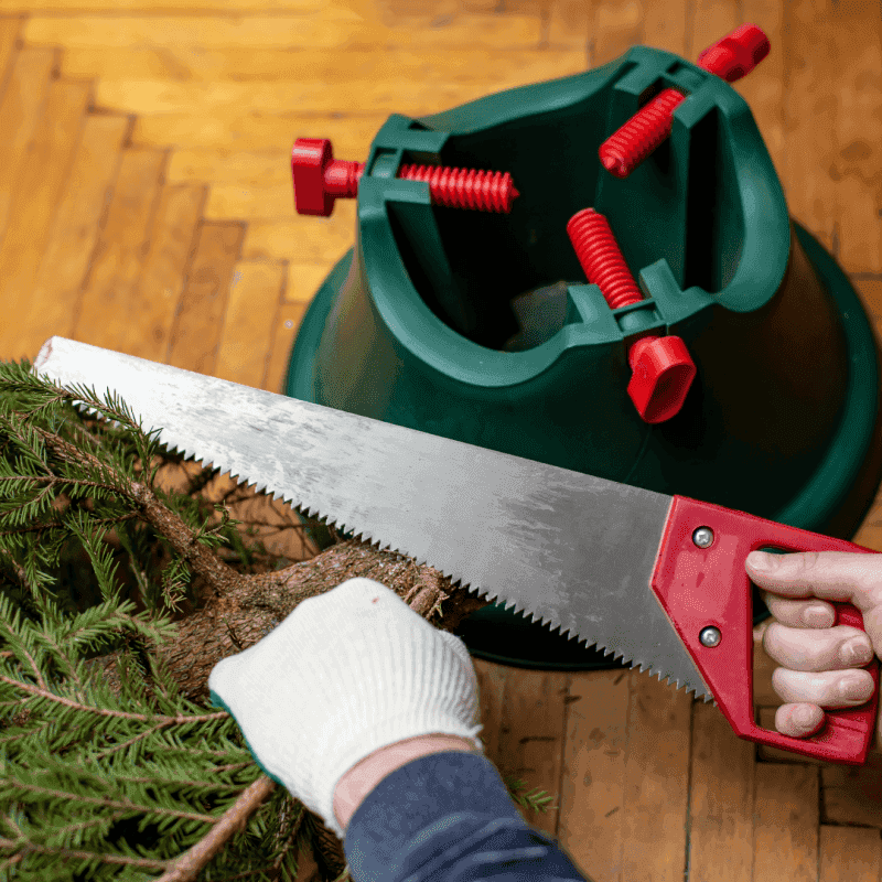 The Simple Trick Is To Make A Fresh Cut At The Base