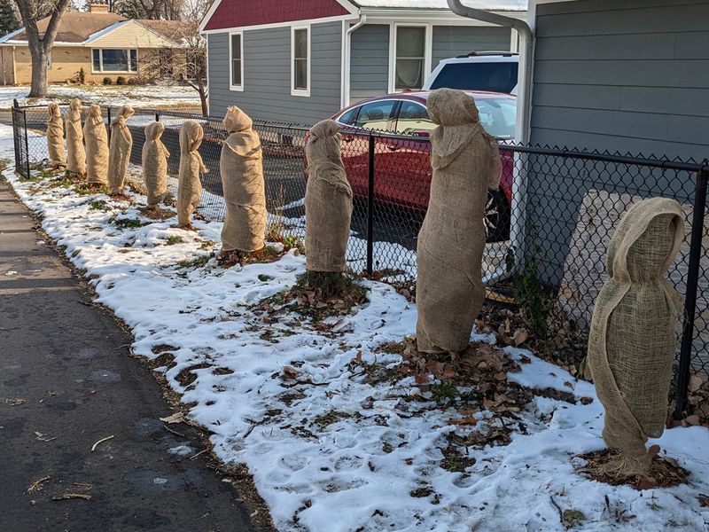 Wrapping Young Trees With Breathable Tree Guards Before Winter Winds Hit