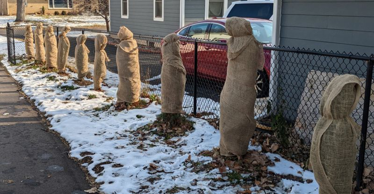 The Simple Trick Minnesota Homeowners Use To Keep Young Trees Safe In Winter Winds
