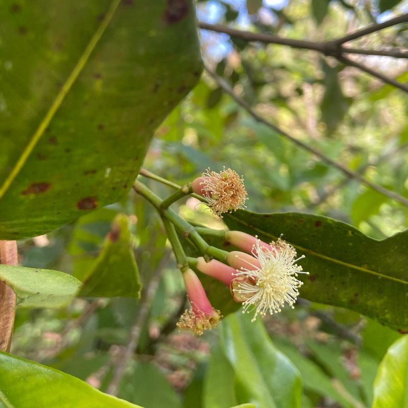 How Long It Takes Before You See Real Growth