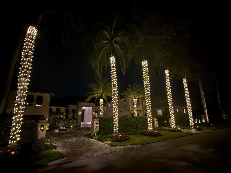 How Lit Palm Fronds Add A Tropical Glow To Holiday Driveways