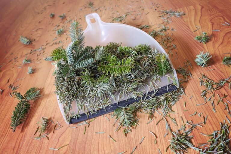Dustpan with pine tree branches and needles, swept up after Christmas