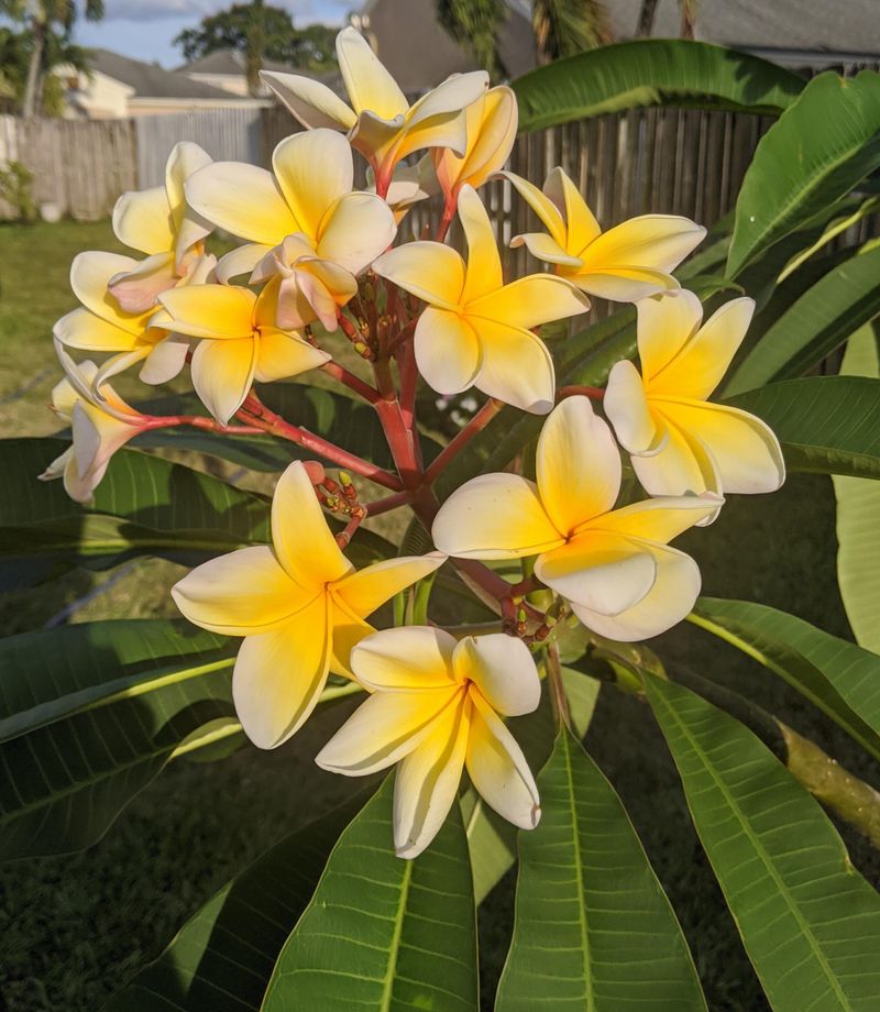 Why This Color Combo Works So Well