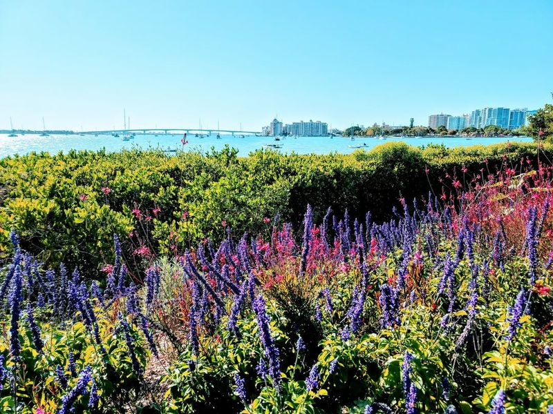 The Magnificent Butterfly and Pollinator Garden