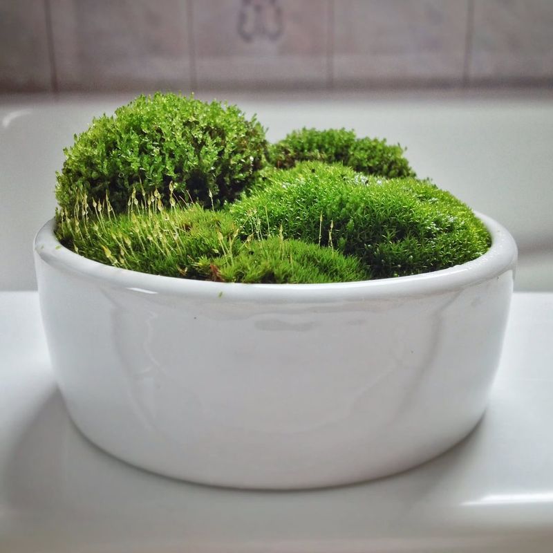 A Small Decoration That Somehow Changes The Entire Mood Of A Room