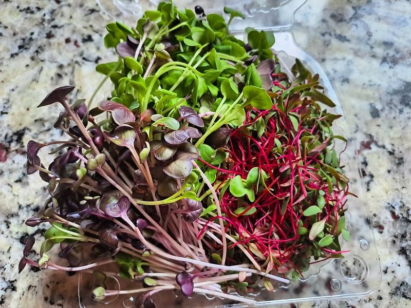 A Quick Harvest Method That Keeps New Growth Coming