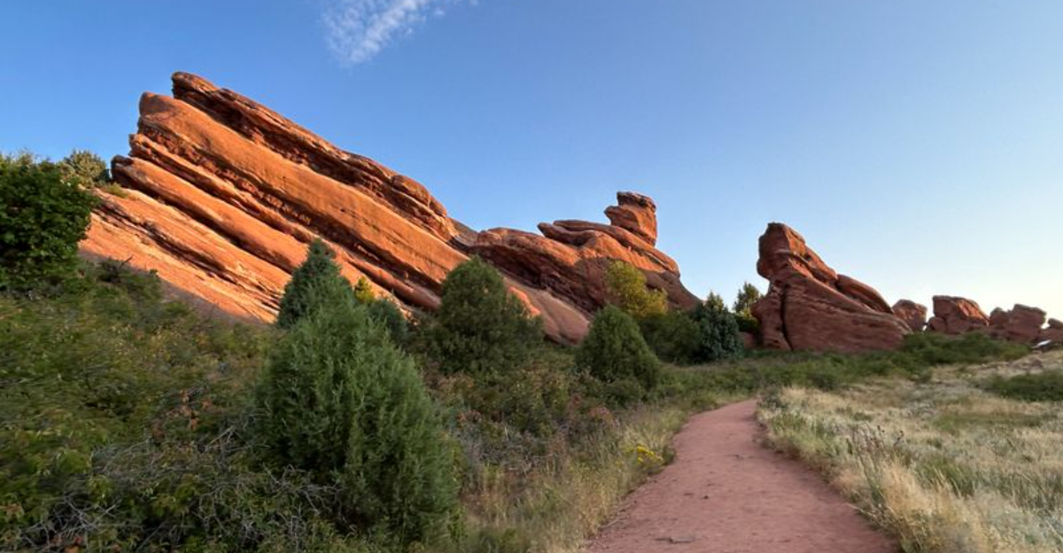 The Top Plant-Filled Walking Trails To Explore In Colorado This December