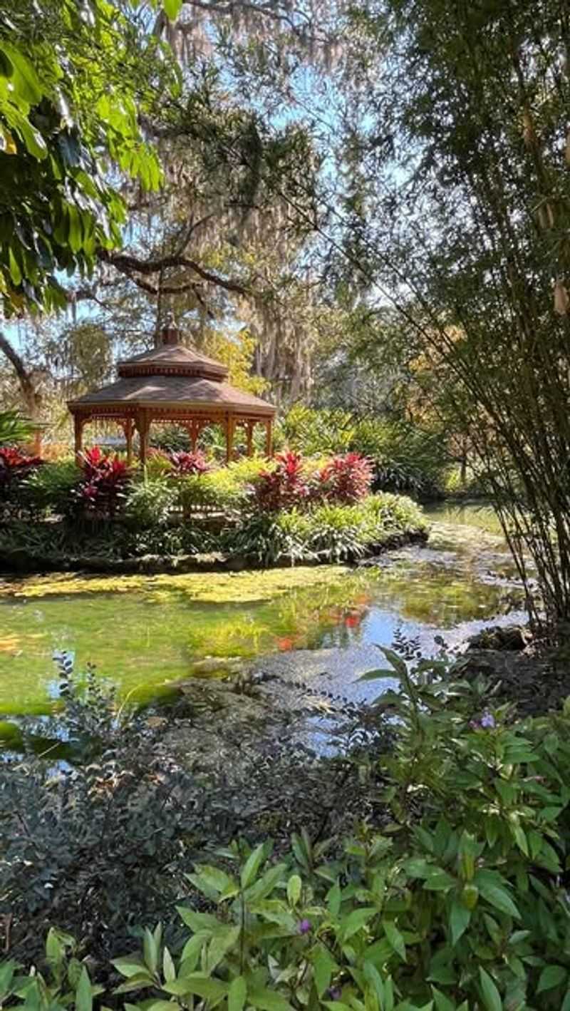 The Vibrant Tropical Rainforest Conservatory