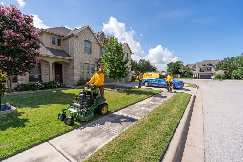 Natural Methods To Manage Lawn Mushrooms