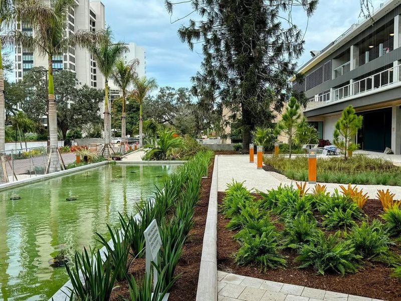 The Stunning Succulent and Cactus Garden