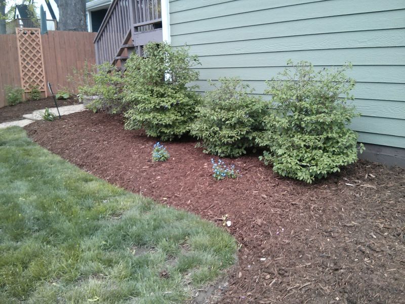 Why Mulch Has Become The Go-To Water-Saving Trick For Tennessee Gardeners This Season