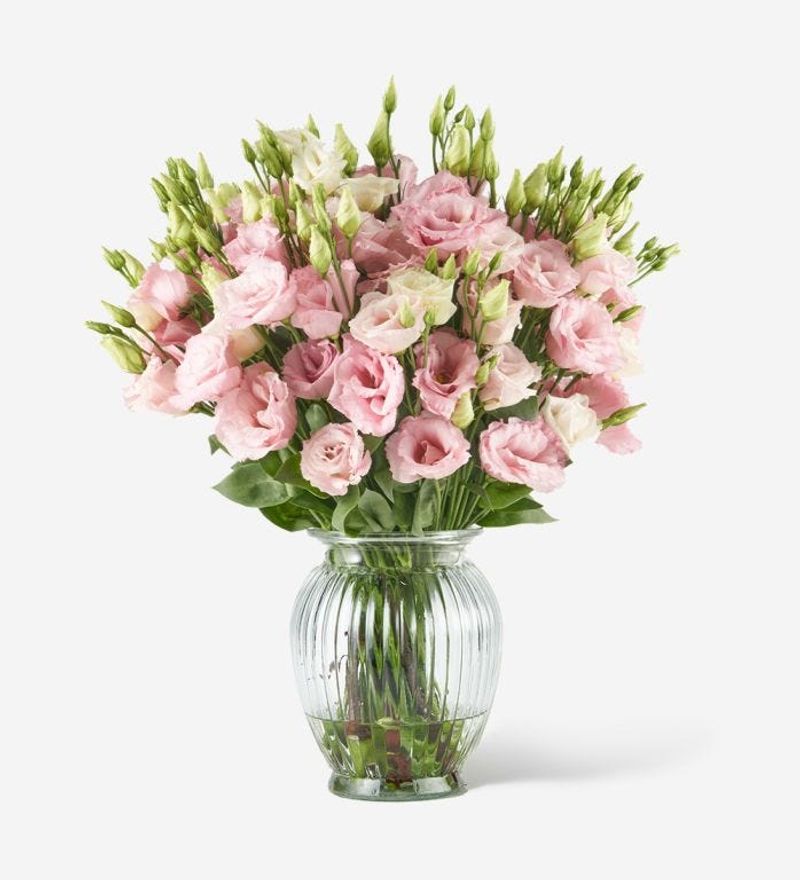 Lisianthus Looks Just Like Roses But Costs Much Less