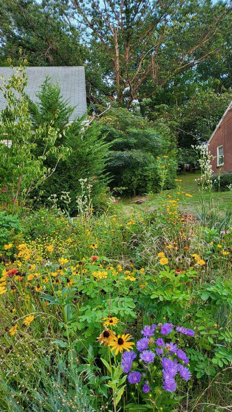 Native Wildflower Plantings Replace Turf Grass