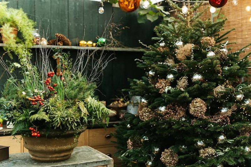 Why Massachusetts Gardeners Are Rethinking Traditional Holiday Decor