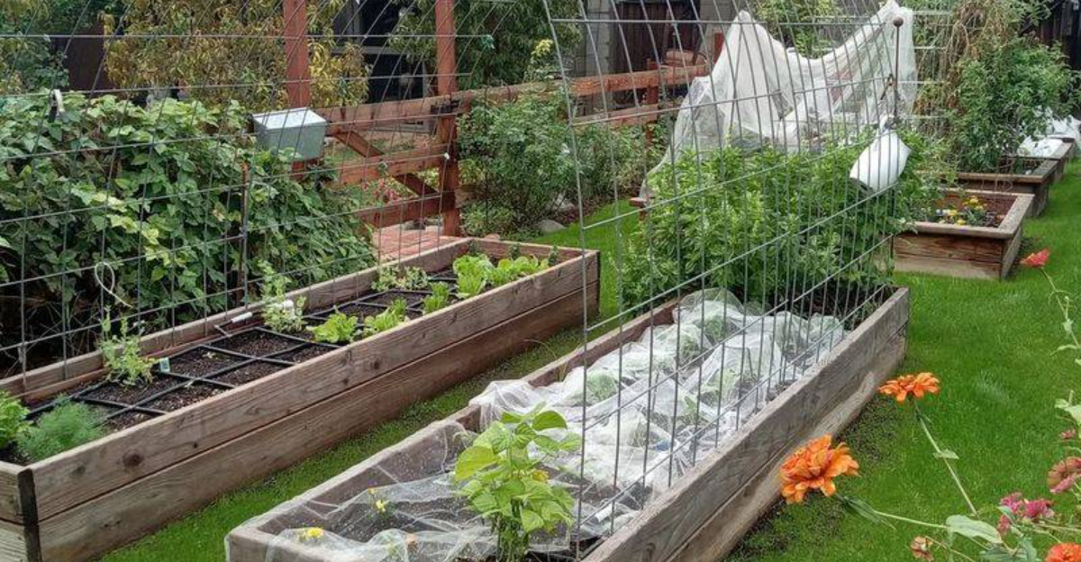 The Zero-Weed Planting Trend Rising Across Virginia