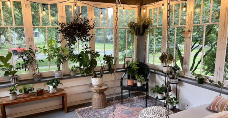 indoor plants (featured image)