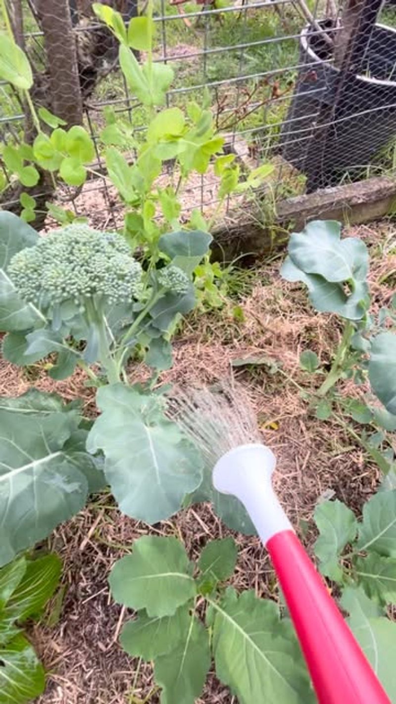 They Support Microbial Life