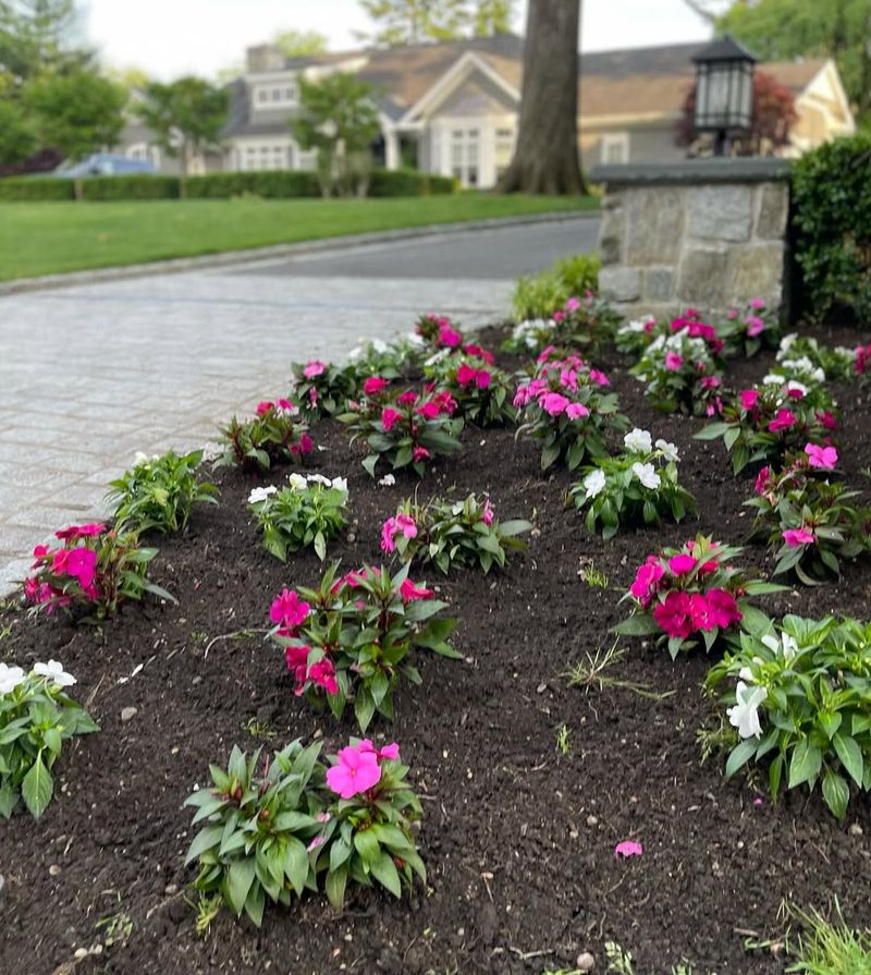 Flower Beds Offer Easy Digging