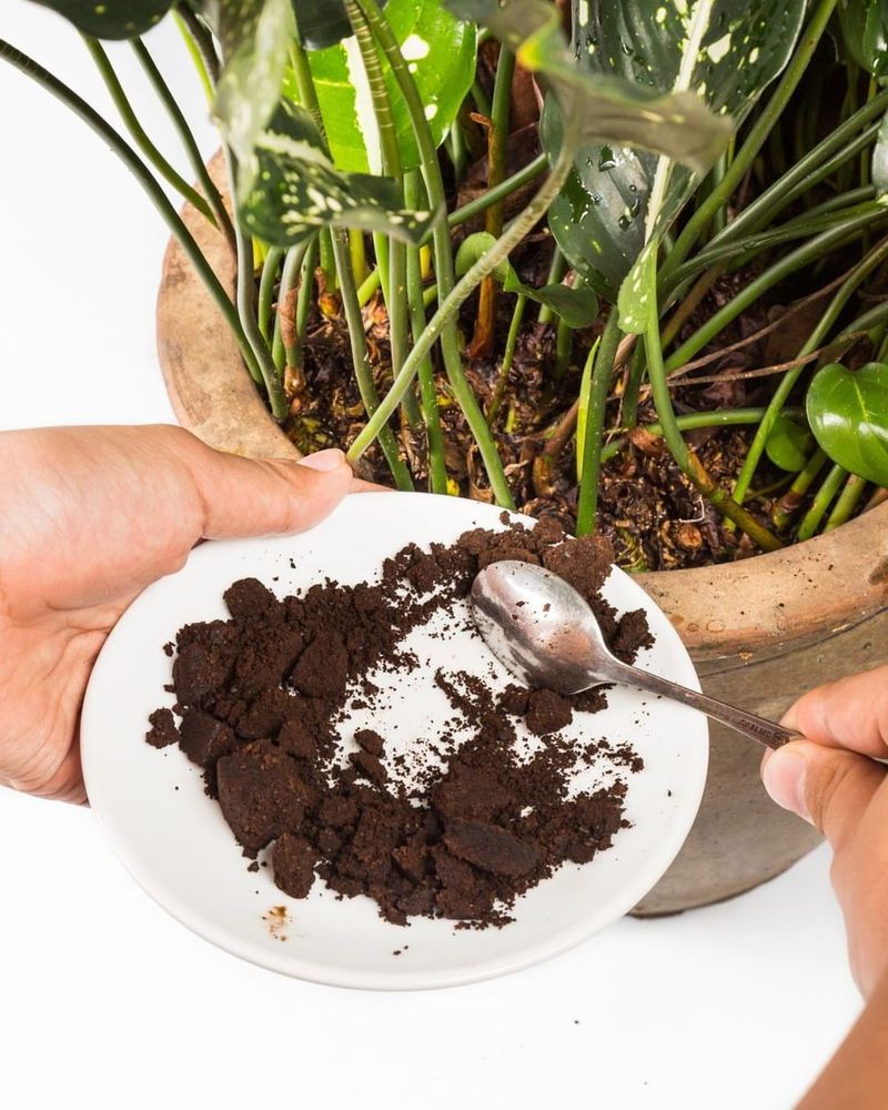 They Reduce Kitchen Waste