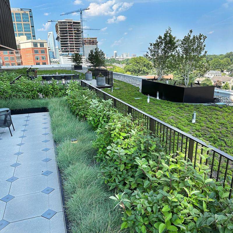 Rooftop Gardens Manage Stormwater Naturally