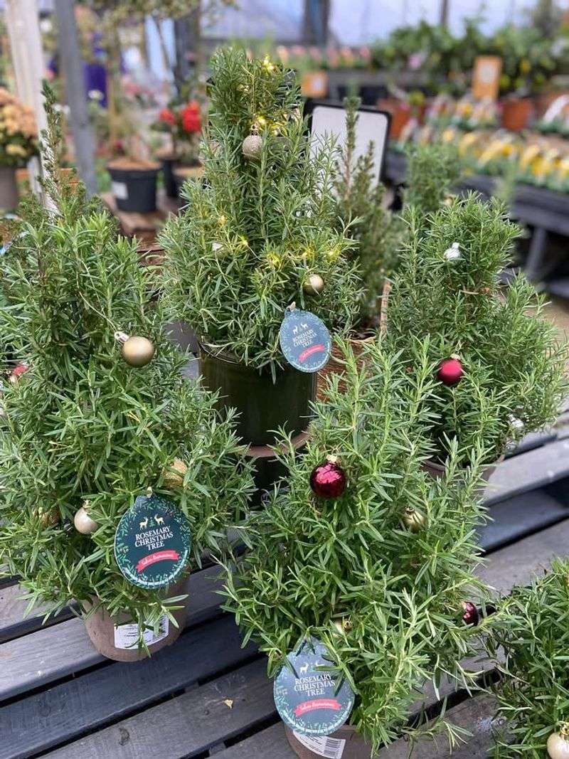 They Blend Holiday Decor With Everyday Life