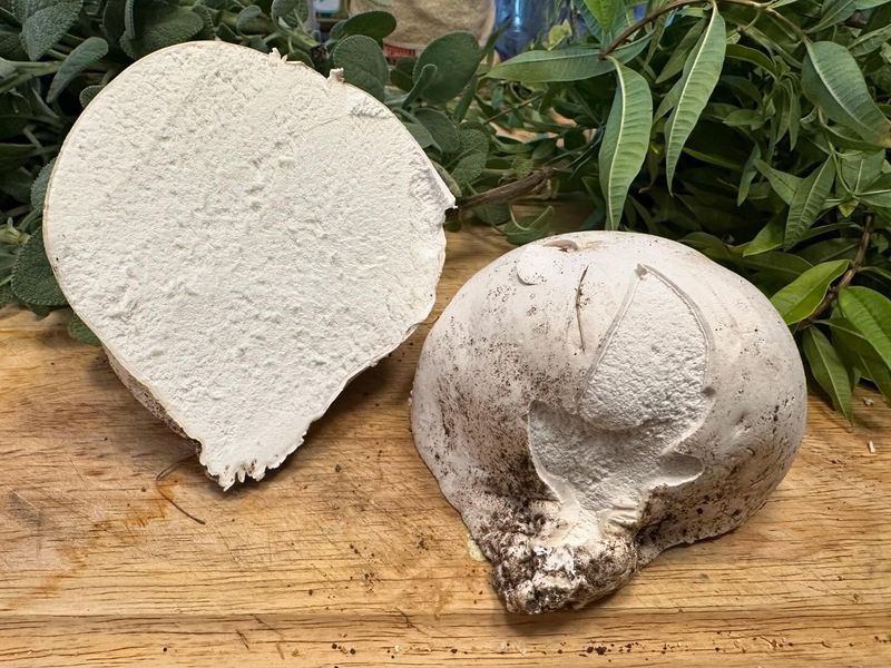 Remove Them If You Prefer A Tidy Appearance