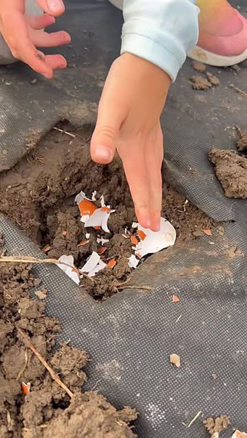 They Build Soil Health Over Multiple Seasons