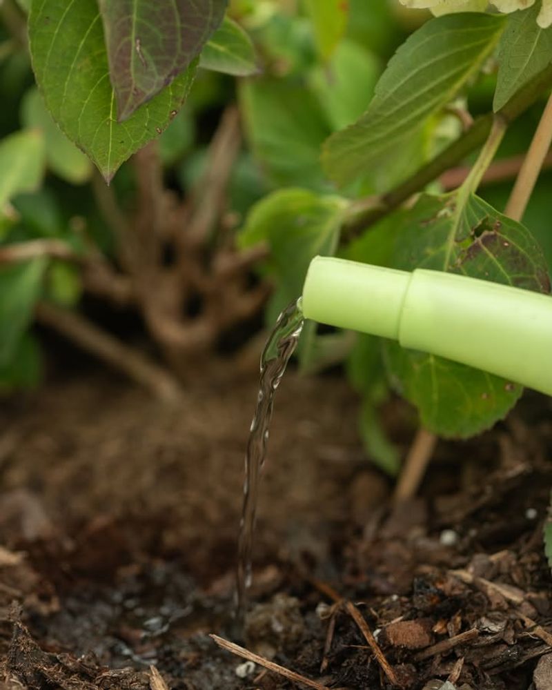 They Are Safe After Brewing