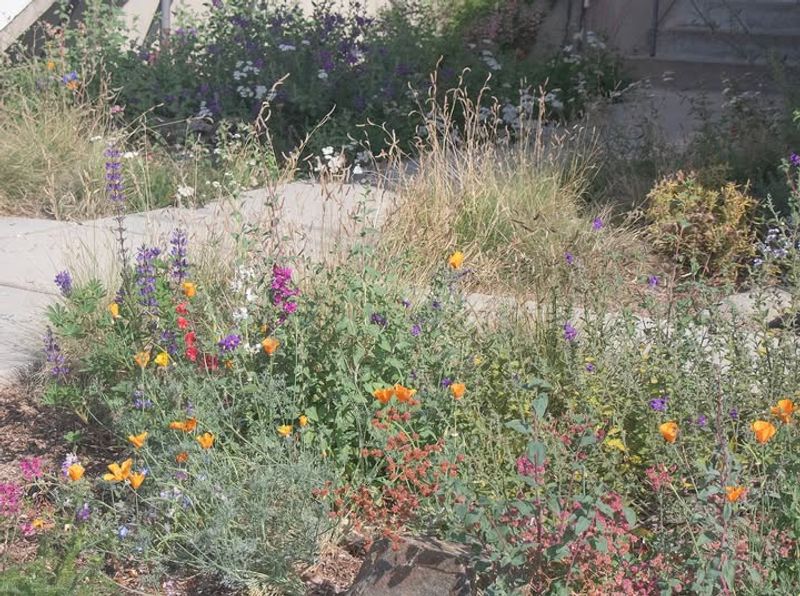 Design Flexibility Allows Creative Landscaping Applications Throughout Your Property