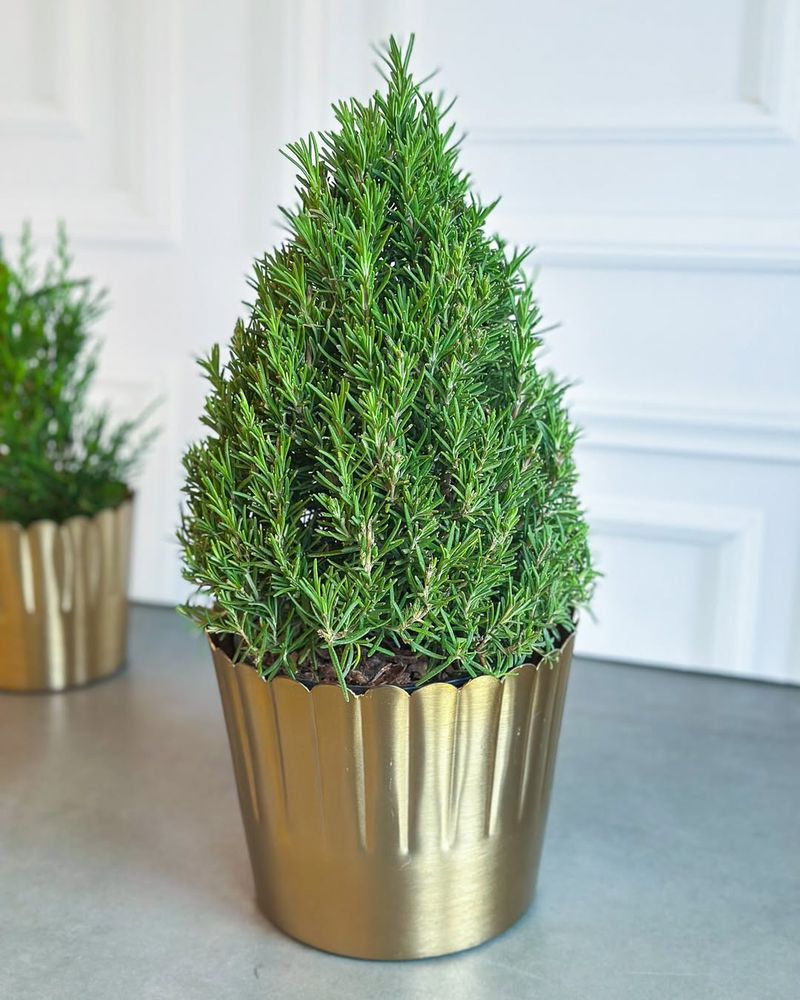 They Hold Their Shape Naturally