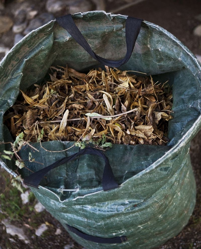 Free Mulch Right From Your Yard