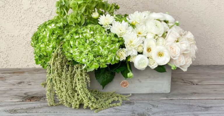 flowers (featured image)