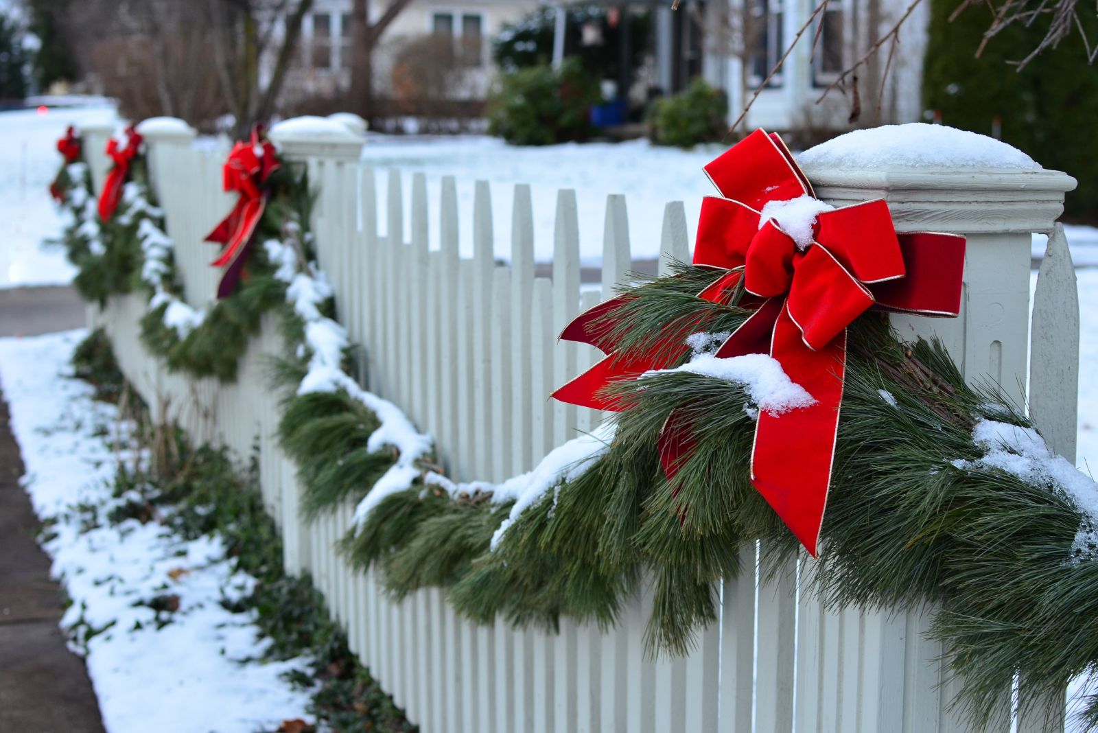 evergreen christmas decor on fence