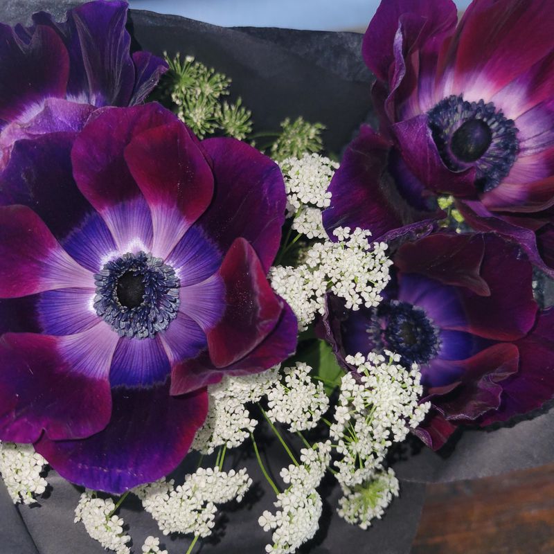 Why Italian Anemones Are Capturing California Brides' Attention