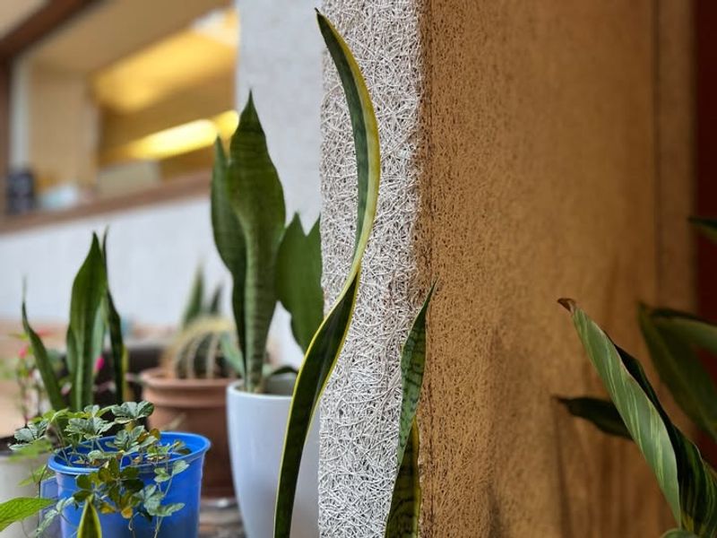 The Trick Is Simple Rotating The Pot A Little At A Time