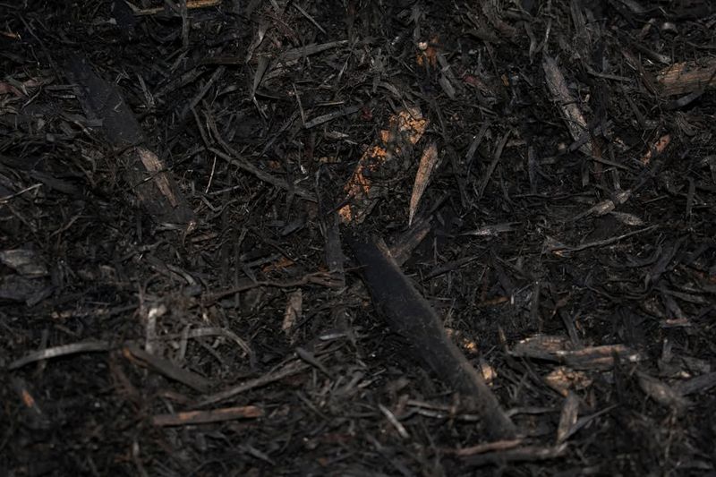 Organic Matter Decomposition Creates Rich Dark Layers