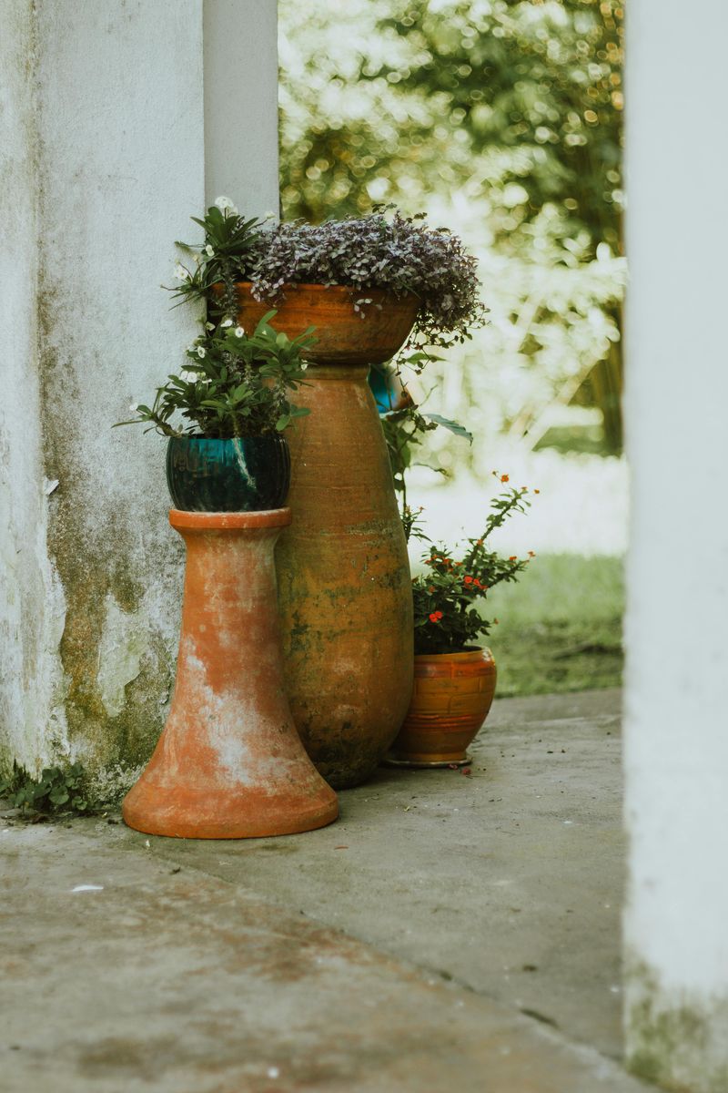 Timeless Beauty That Never Goes Out Of Style