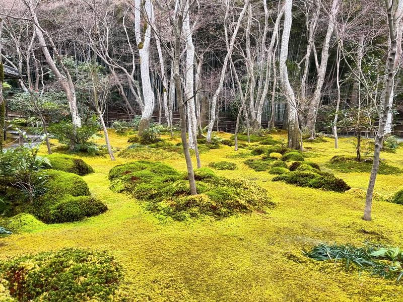 Conserves Water and Reduces Waste