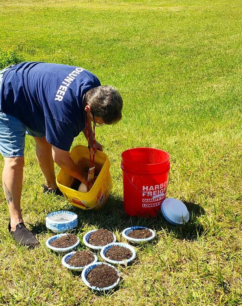 Scatter Seeds Evenly Across Your Prepared Area