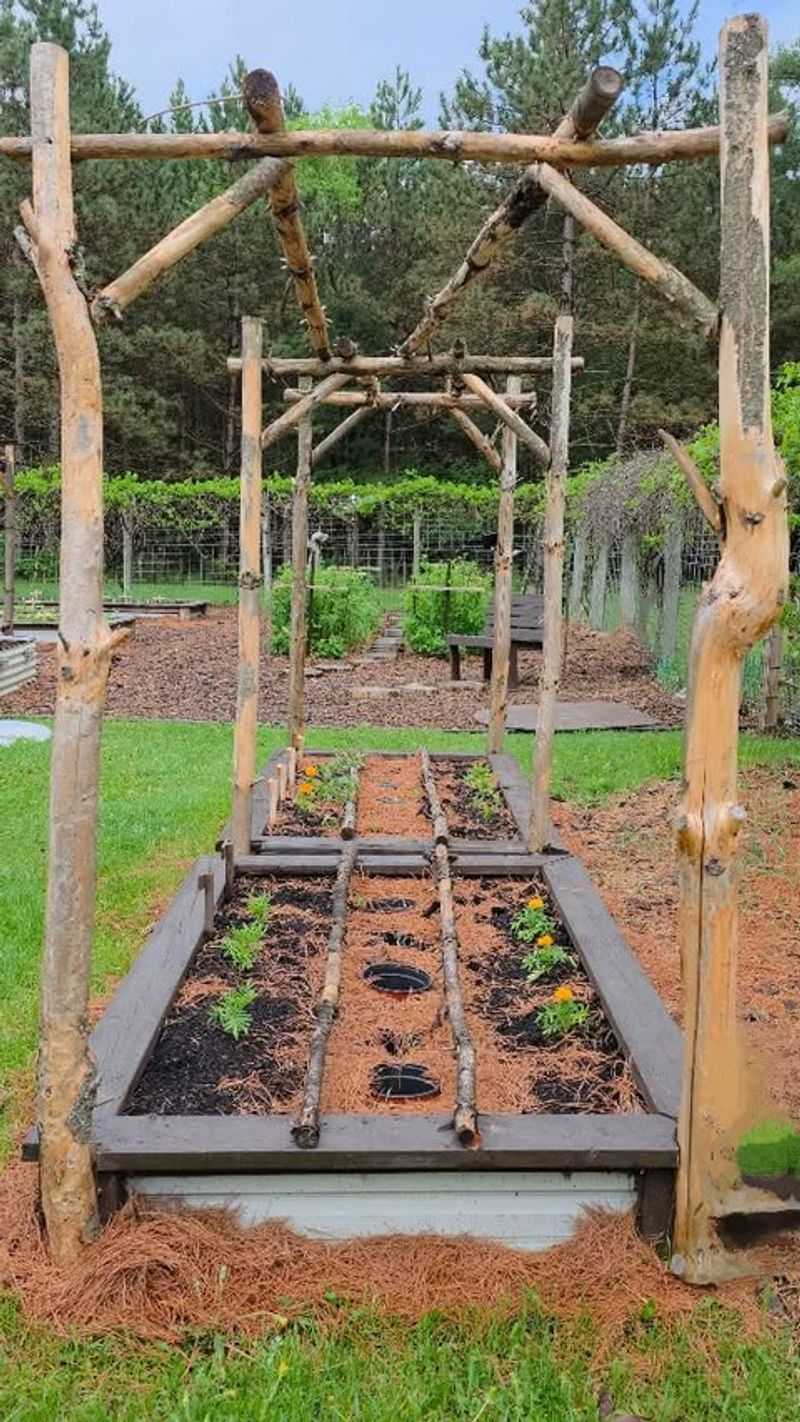 Mulch Generously to Retain Moisture