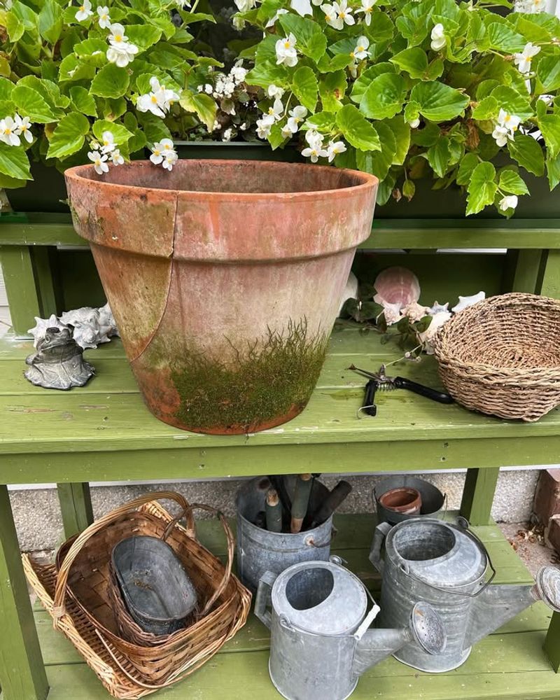 Perfect For Georgia's Hot And Humid Climate