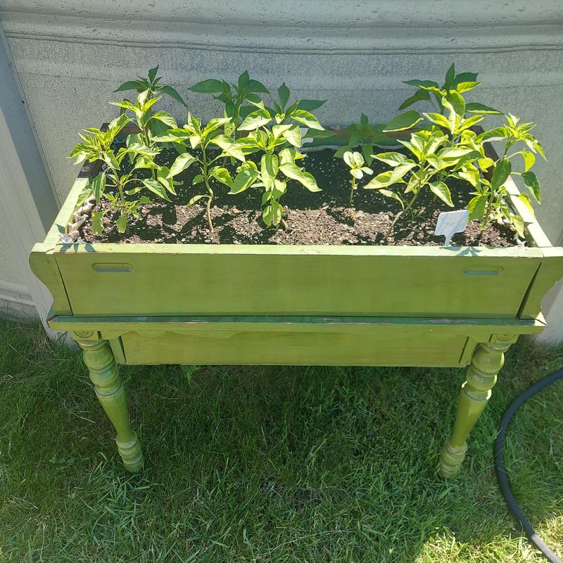 Old Dresser Drawer Planter Boxes