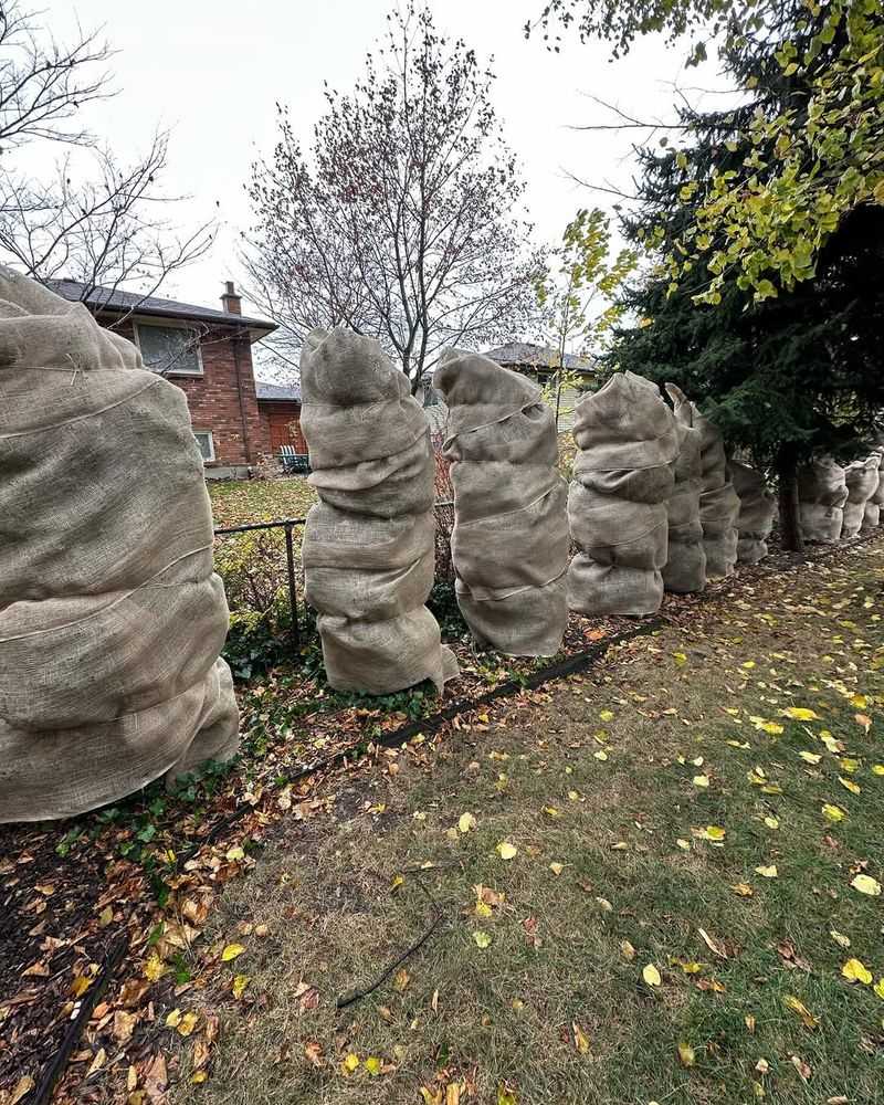 To Prevent Snow And Ice Damage Near Ground Level