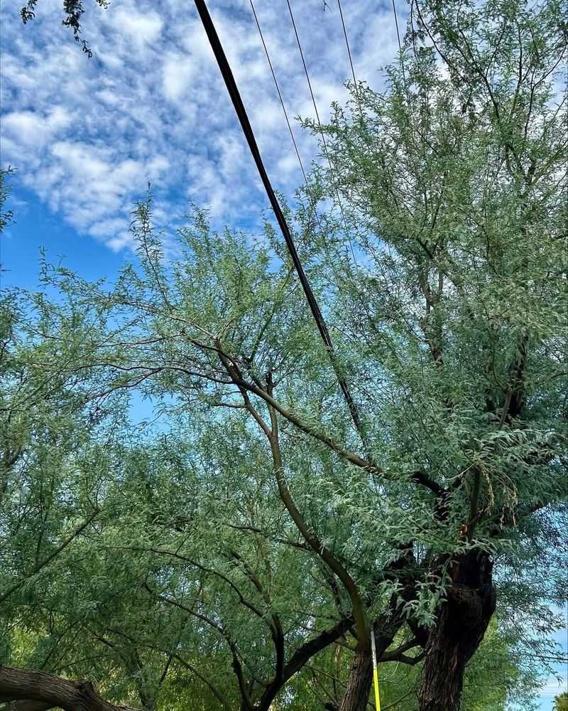 Under Or Near Overhead Power Lines