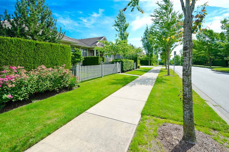 In Narrow Planting Strips Or Small Tree Lawns