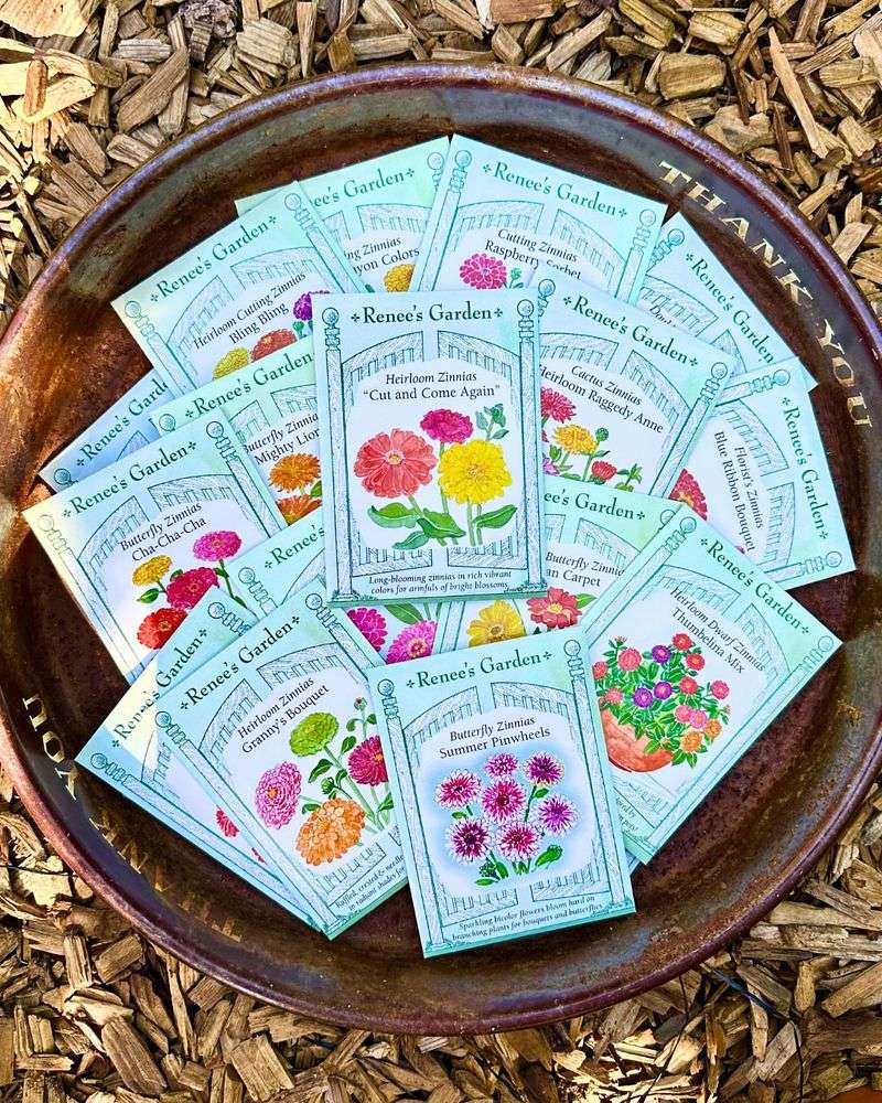 Ordering Seeds Early Guarantees Better Selection