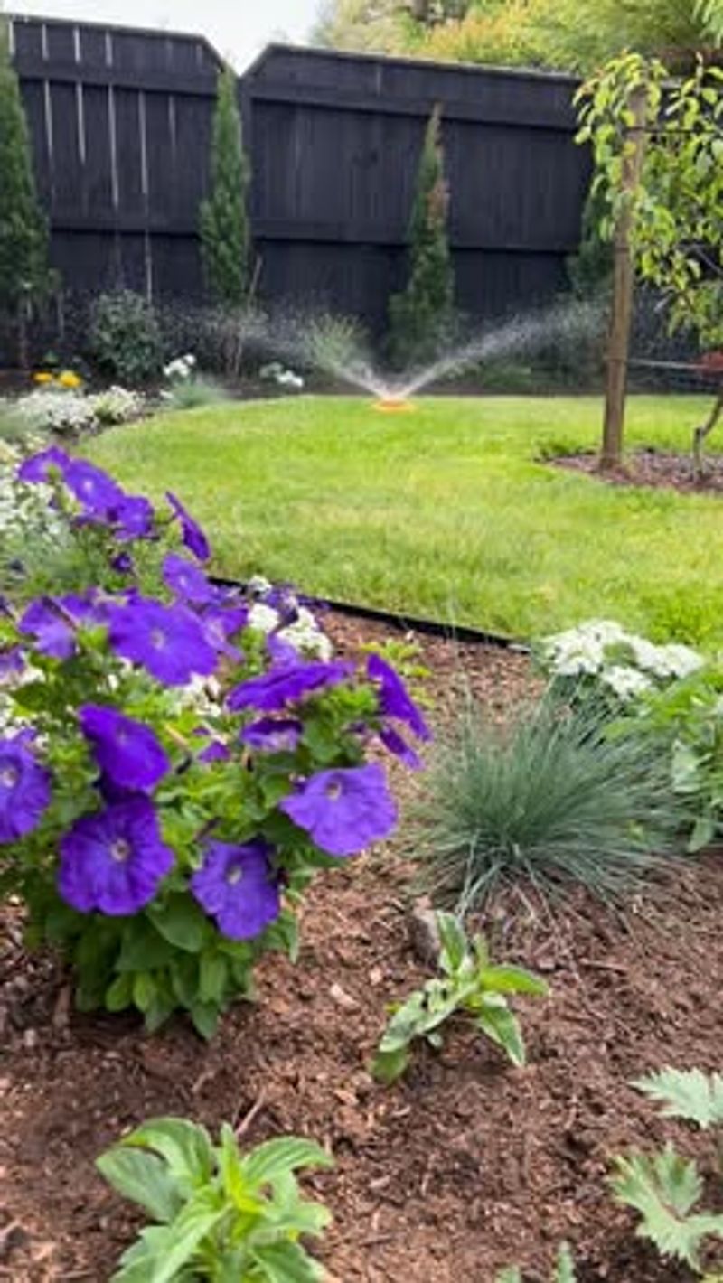 Water Deeply And Consistently To Help Layers Settle And Decompose