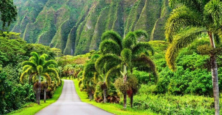 Hawaii garden (featured image)